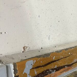 Old baseboard with paint and flakes previous epoxy job - Amber Dr Farmington Hills MI - 4