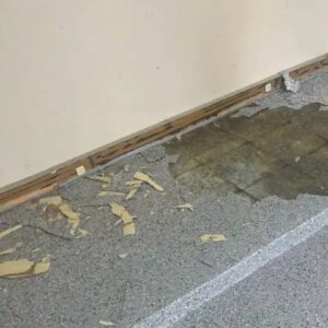 Old epoxy floor with pits and cracks - Amber Dr Farmington Hills MI - 4