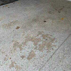 Old epoxy floor with pits and cracks - Amber Dr Farmington Hills MI - 7