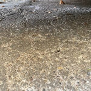 Old garage concrete Farmington Hills Shadowglen Drive - 2