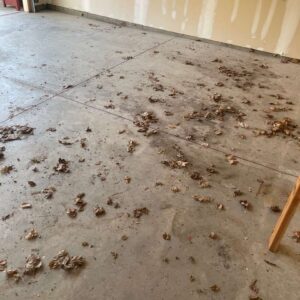 Old garage concrete floor – 1 – Ridgedale Avenue michigan
