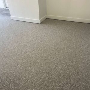 Old garage concrete floor – 15 – Painted or Flaked West Lincoln Street michigan