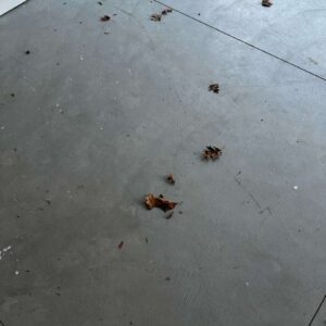 Old garage concrete floor – 3 – Audley Court Troy michigan