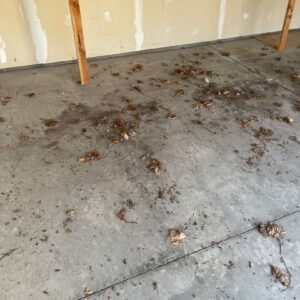 Old garage concrete floor – 3 – Ridgedale Avenue michigan