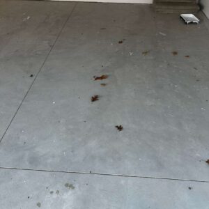 Old garage concrete floor – 6 – Audley Court Troy michigan