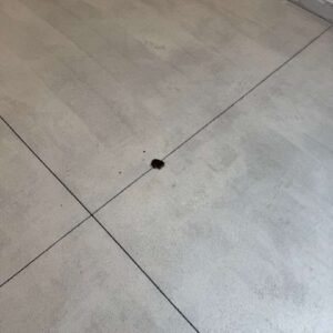 Old garage concrete floor – 3 – Parkridge Drive Utica Michigan