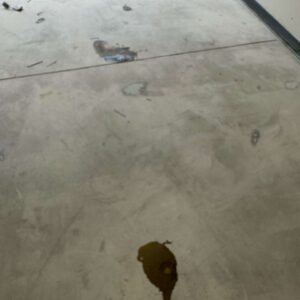 Old garage concrete floor – 8 – Epoxy removed and patch Whitney Ct Troy michigan